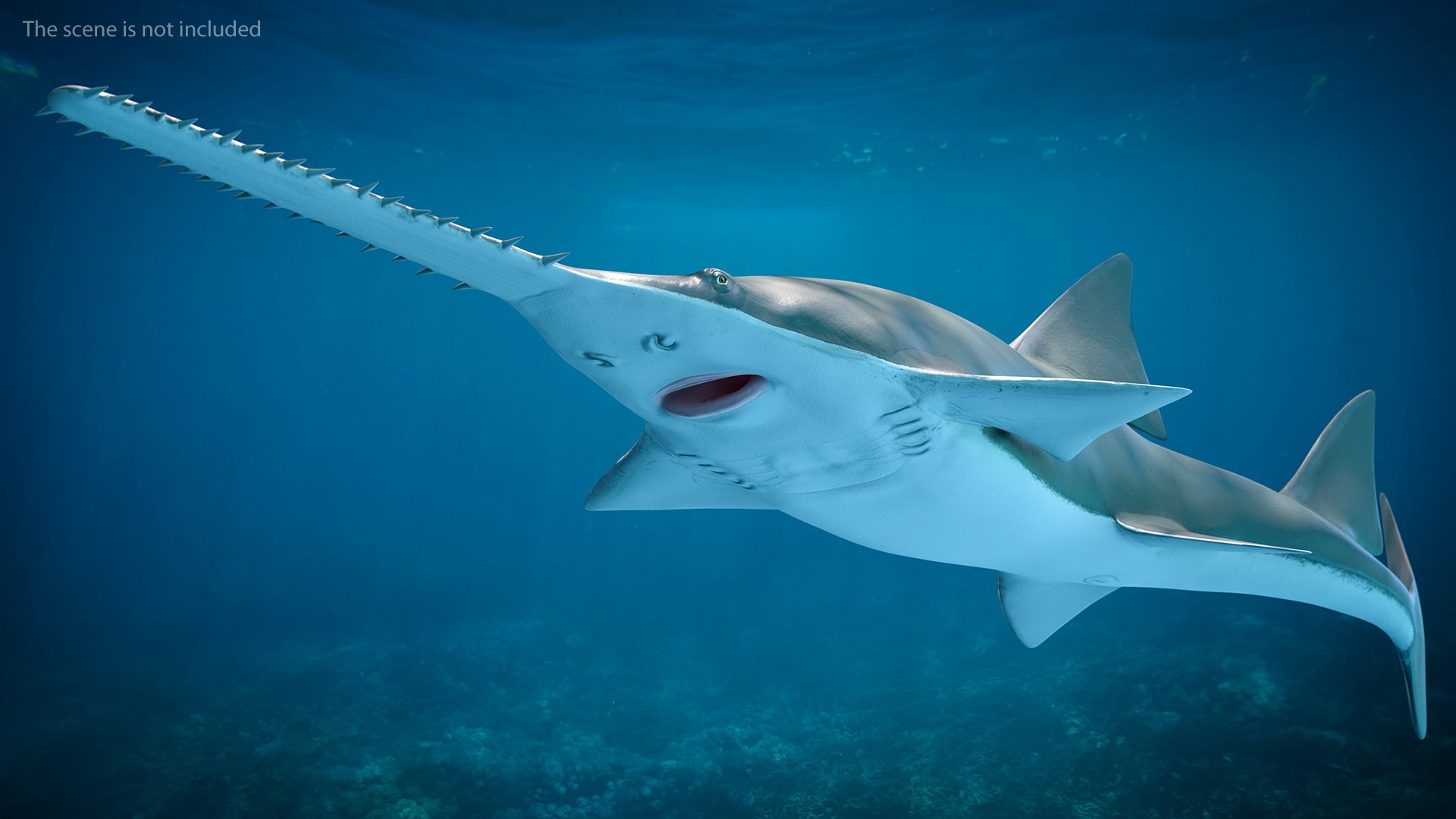 sawfish rigged fish modo 3D model https://p.turbosquid.com/ts-thumb/sY/d3V71l/VrCiBPzb/sawfishriggedmb3dmodel002/jpg/1592960131/1920x1080/fit_q87/d53cbadff07c6f44bc6af7d5eeb6dd16f458431f/sawfishriggedmb3dmodel002.jpg