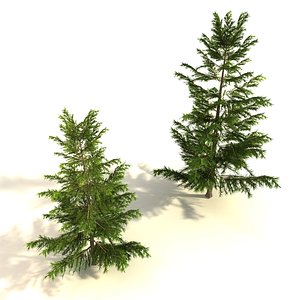 Pine Tree Low Polygon Set