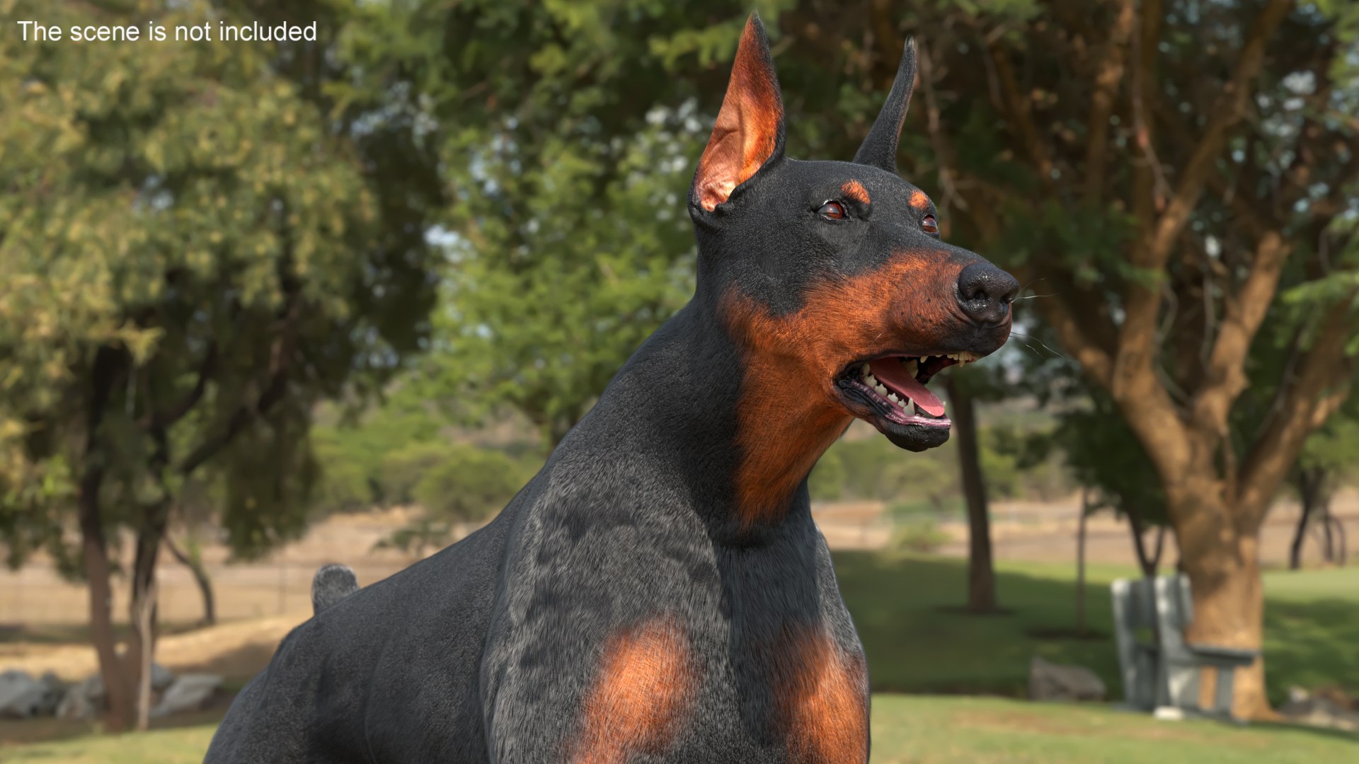 3D Doberman Pinscher Dog Running Fur https://p.turbosquid.com/ts-thumb/sY/lx0HWI/4J/dobermanpinscherdogrunningfur3dsmodel003/jpg/1716444427/1920x1080/fit_q87/4d9d22e21450c2bb5acf06fb439561fe59071f98/dobermanpinscherdogrunningfur3dsmodel003.jpg