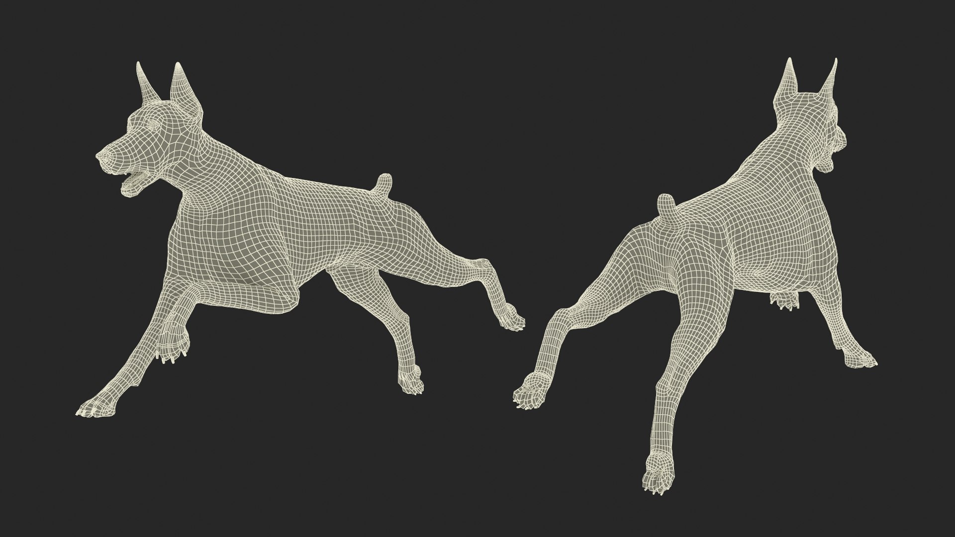 3D Doberman Pinscher Dog Running Fur https://p.turbosquid.com/ts-thumb/sY/lx0HWI/cA/dobermanpinscherdogrunningfur3dsmodel018/jpg/1716444476/1920x1080/fit_q87/a6d09f269bbb616cd23b8f8ca9aeabecc666accb/dobermanpinscherdogrunningfur3dsmodel018.jpg