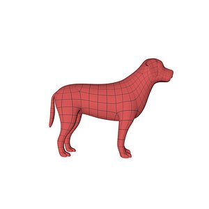 3d base mesh labrador dog model