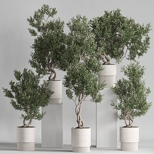 Plants collection 735