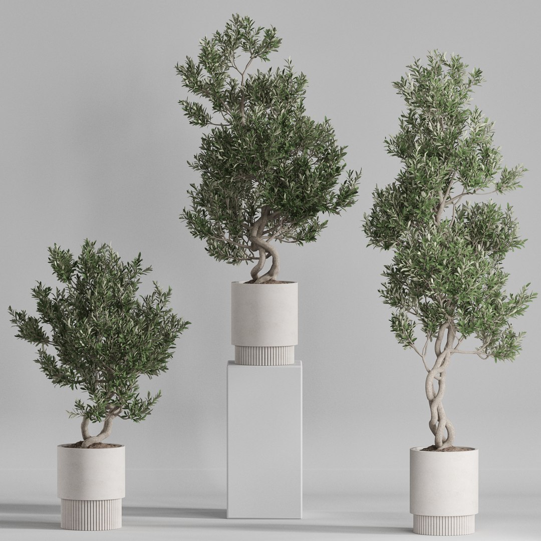 3D Plants collection 735 https://p.turbosquid.com/ts-thumb/sY/qJkT9u/Wg/735/jpg/1656670006/1920x1080/fit_q87/884802ecf5a21fab2c1a571ef4ae7ac0a29aa9be/735.jpg