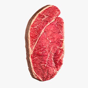 Juicy steak for cooking realistic model