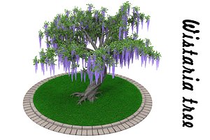 3d wisteria flowering