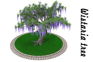 Wistaria tree