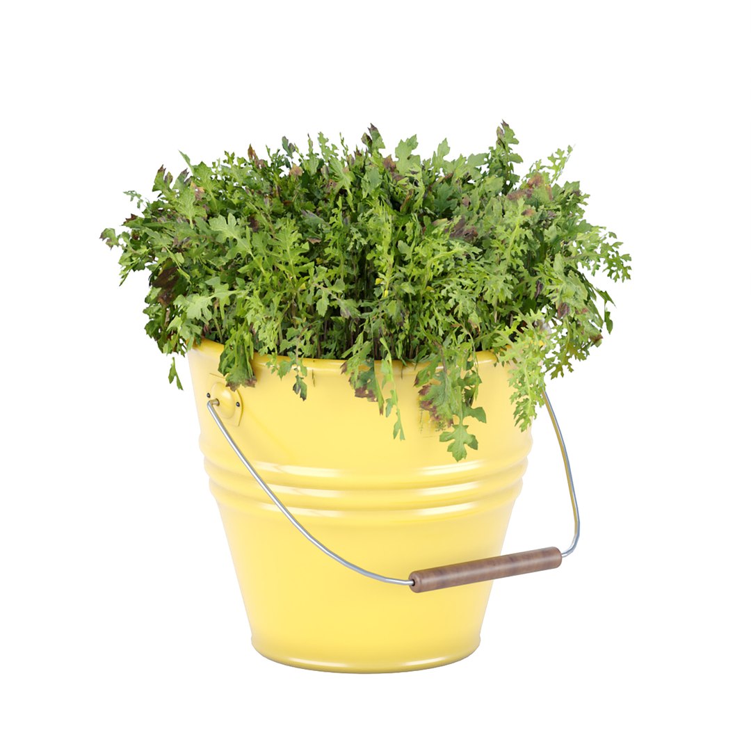 3D outdoor natural plants collection vol 65 https://p.turbosquid.com/ts-thumb/sZ/1JzLkX/30/4/jpg/1663146982/1920x1080/fit_q87/e9fce79c887c12066df256c61c0dde4a174d3ed5/4.jpg