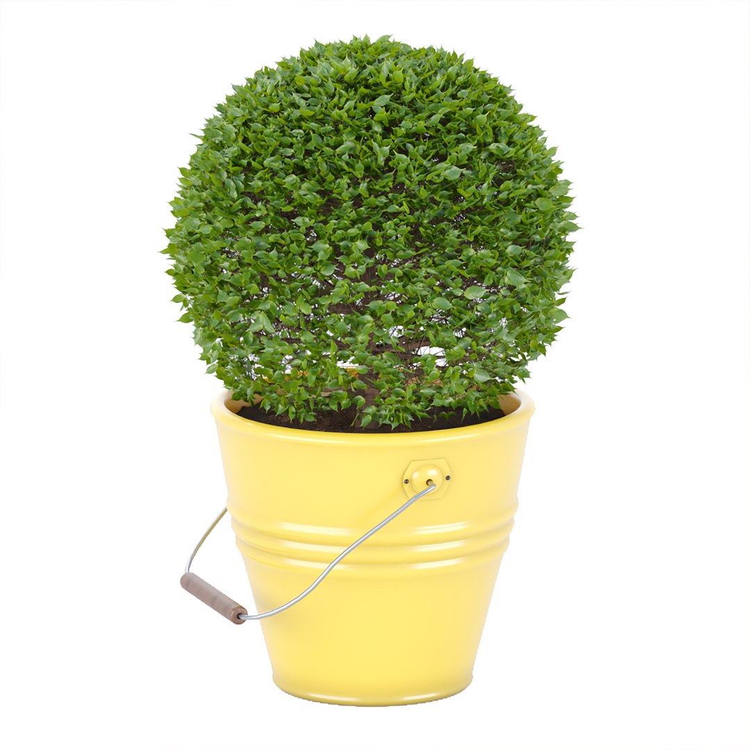 3D outdoor natural plants collection vol 65 https://p.turbosquid.com/ts-thumb/sZ/1JzLkX/4v/5/jpg/1663146985/1920x1080/fit_q87/8a14a1c582bf56c9119365f62c3a3b36d432ae08/5.jpg