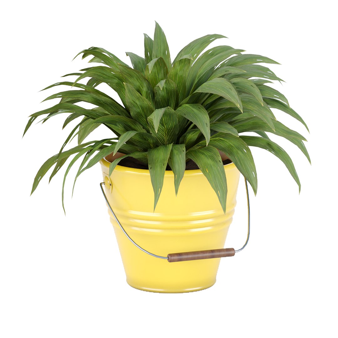 3D outdoor natural plants collection vol 65 https://p.turbosquid.com/ts-thumb/sZ/1JzLkX/au/2/jpg/1663146977/1920x1080/fit_q87/686b98a8130ef5954752fc7f5a0fa056cfdb65c4/2.jpg
