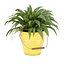 collection de plantes naturelles d'extérieur vol 65