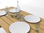 Picnic Table