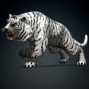 3D model Tiger-A5
