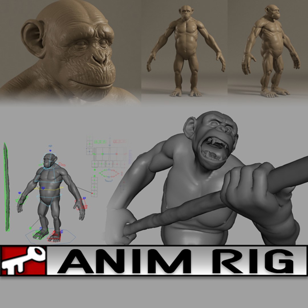 rig 2014 animation 3d model https://p.turbosquid.com/ts-thumb/sZ/D8CGhU/6ZULekSv/signature/jpg/1453578709/1920x1080/fit_q87/5c20f4e299338d5a3519bb596ad6cae8e36c570b/signature.jpg