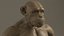 rig 2014 animation 3d model