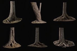 3D anydrafts Abies Trunk combination model