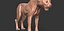 Cucciolo di ghepardo forme primarie Zbrush Sculpt