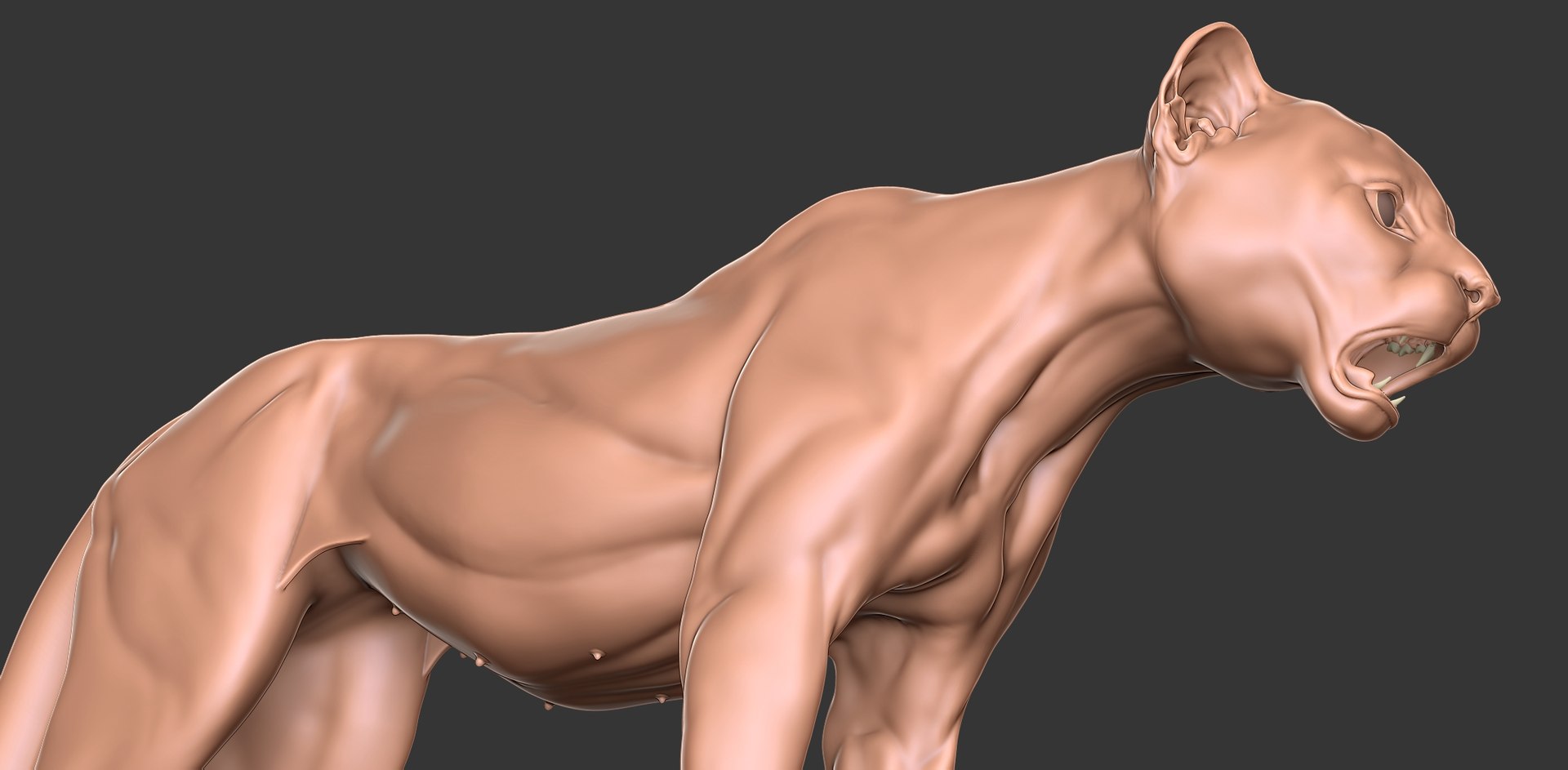 3D Cheetah Cub Primary Forms Zbrush Sculpt https://p.turbosquid.com/ts-thumb/sZ/J2YtWX/39/cheetahcub13/jpg/1638160779/1920x1080/fit_q87/1f2179443d8a249beedd40781fe399034905c9c5/cheetahcub13.jpg
