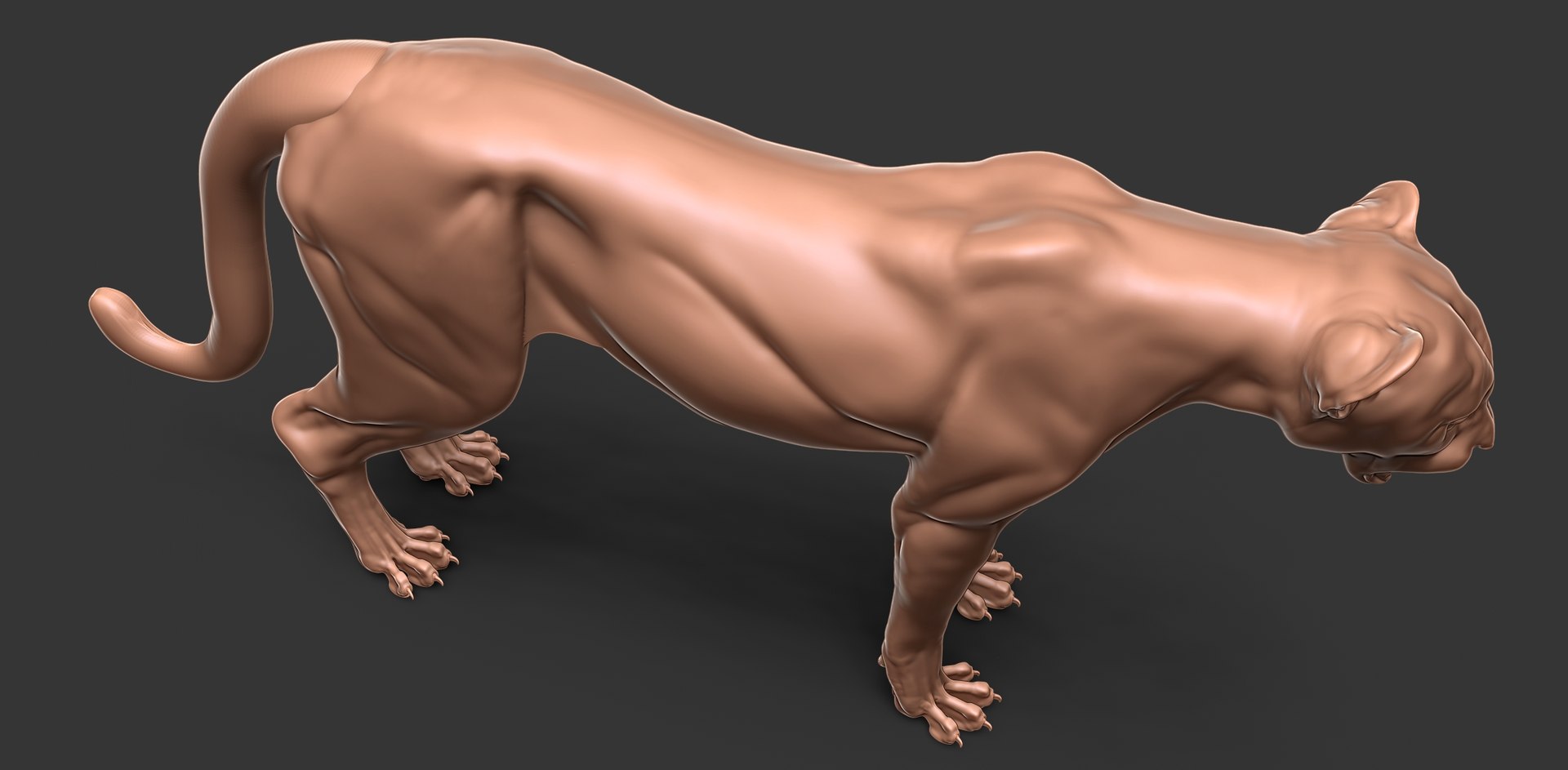 3D Cheetah Cub Primary Forms Zbrush Sculpt https://p.turbosquid.com/ts-thumb/sZ/J2YtWX/3D/cheetahcub9/jpg/1638160782/1920x1080/fit_q87/d66e60c68ff3fc9d7be51c21253fd79a6c8ce759/cheetahcub9.jpg