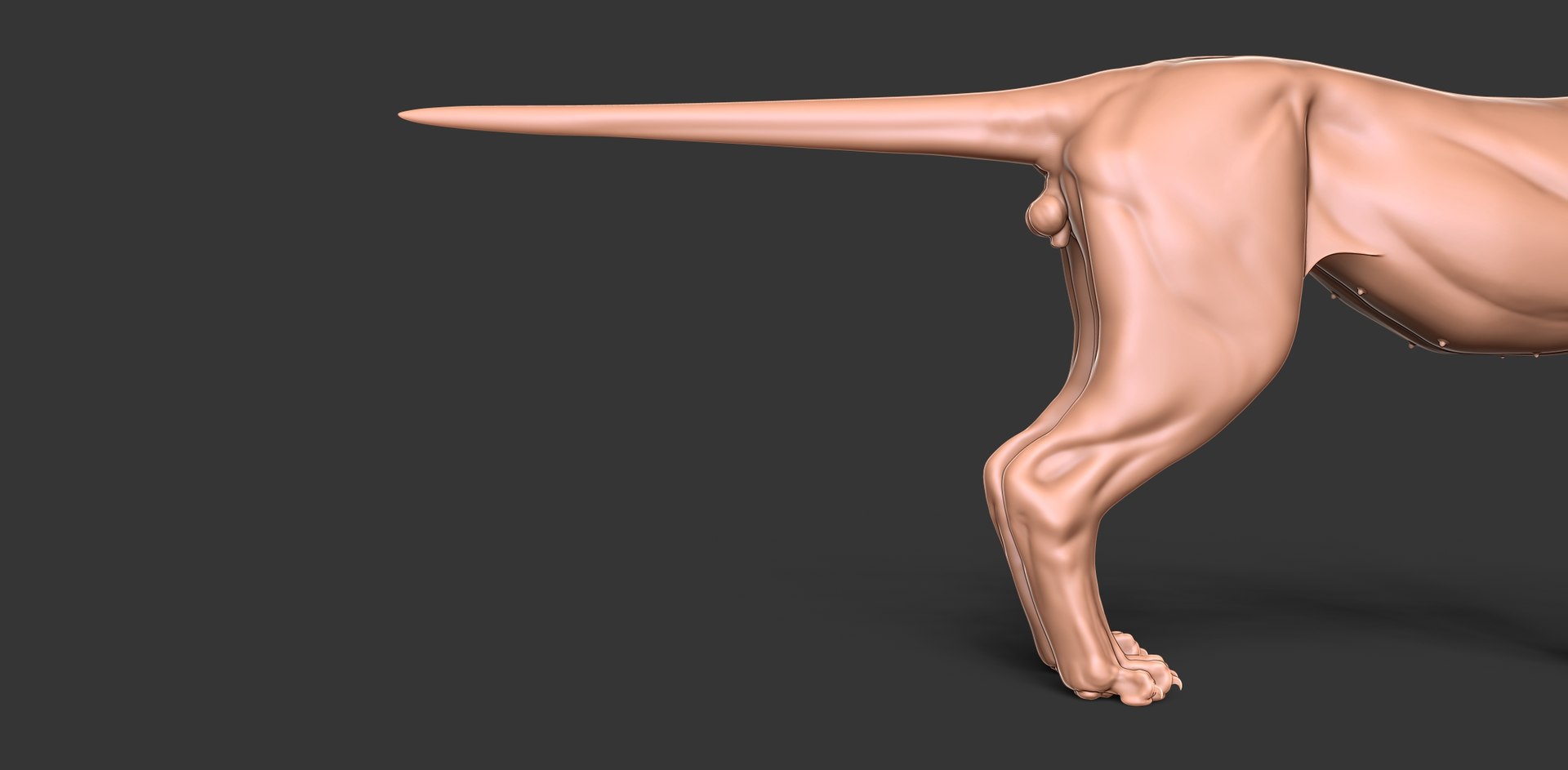 3D Cheetah Cub Primary Forms Zbrush Sculpt https://p.turbosquid.com/ts-thumb/sZ/J2YtWX/9B/cheetahcub7/jpg/1638160773/1920x1080/fit_q87/8d6e6f70014a6bf81373b24de1e9d10a5eb76186/cheetahcub7.jpg
