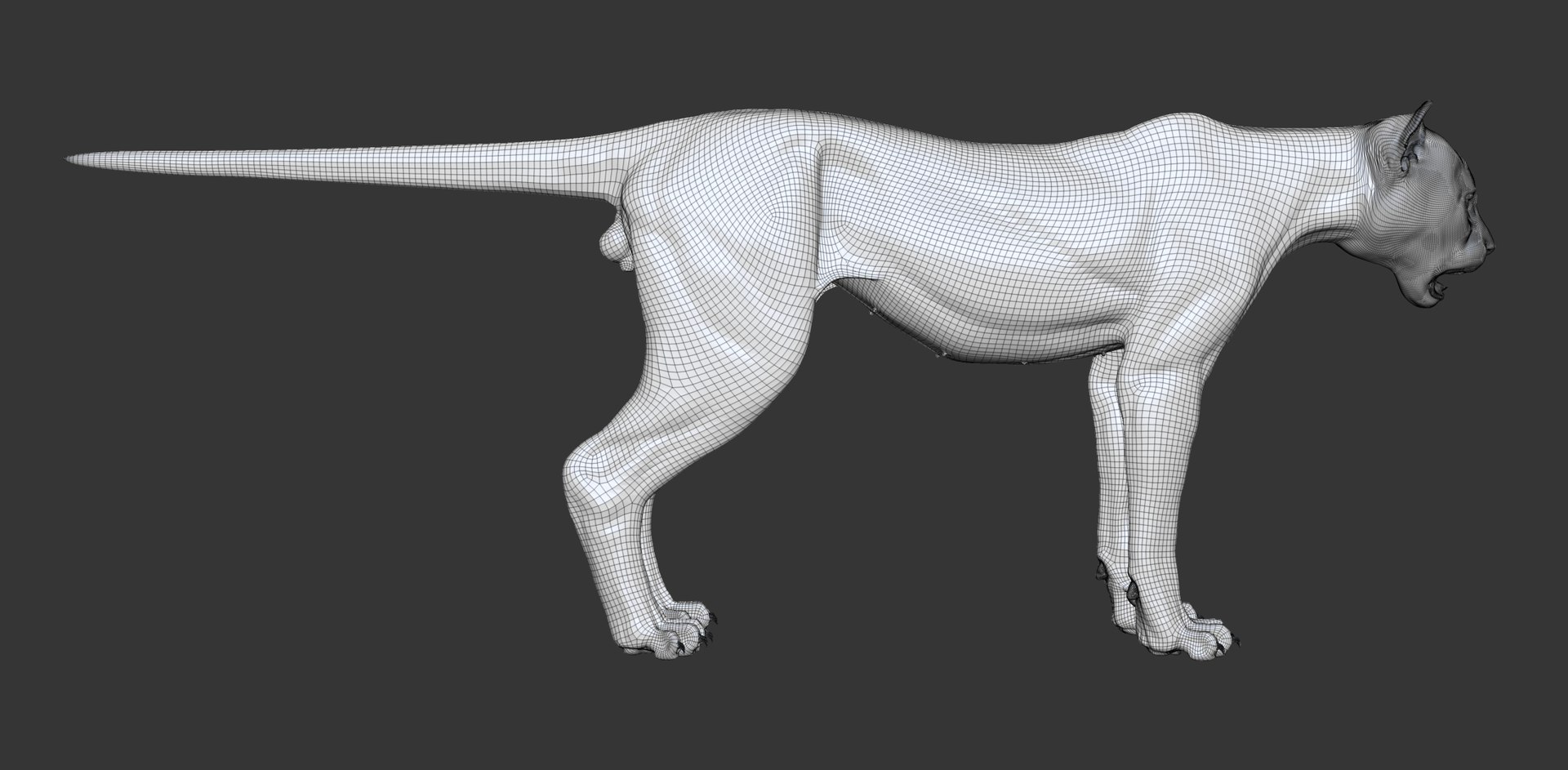 3D Cheetah Cub Primary Forms Zbrush Sculpt https://p.turbosquid.com/ts-thumb/sZ/J2YtWX/9E/cheetahcub_wire1/jpg/1638161873/1920x1080/fit_q87/d00ce115a191ea3a4865b7698d0bfd393c409b08/cheetahcub_wire1.jpg