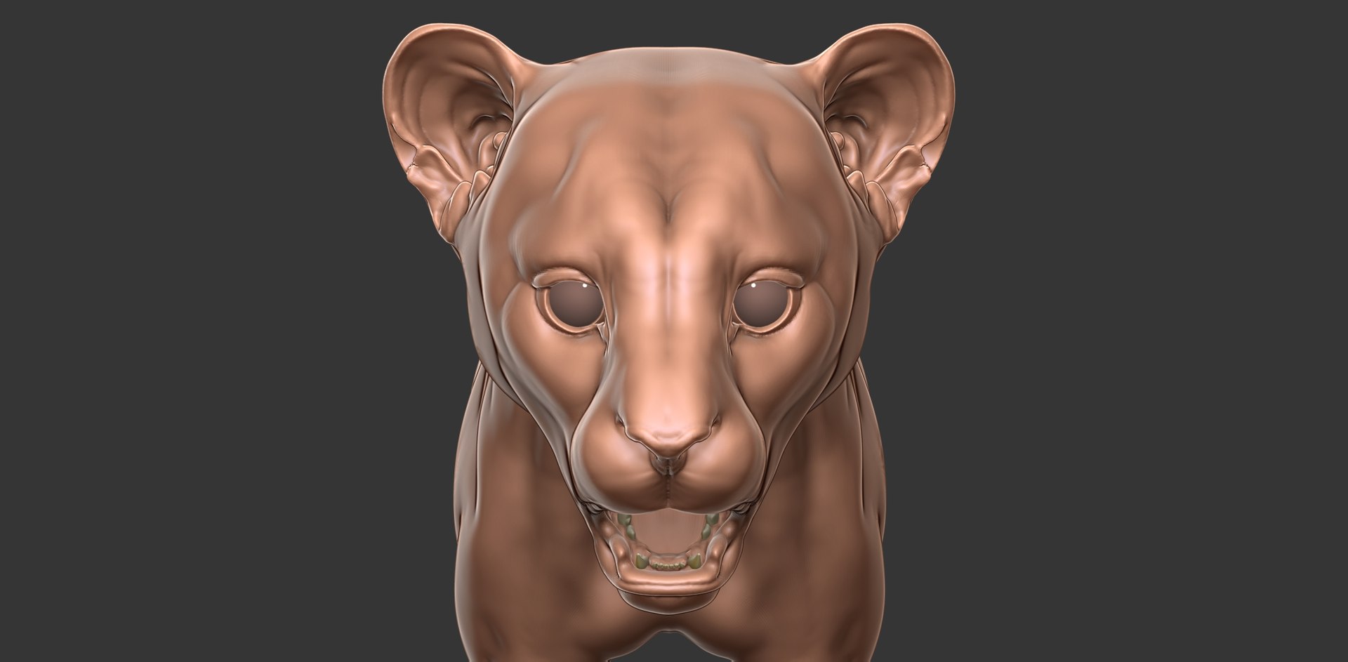 3D Cheetah Cub Primary Forms Zbrush Sculpt https://p.turbosquid.com/ts-thumb/sZ/J2YtWX/DB/cheetahcub19/jpg/1638160776/1920x1080/fit_q87/3a7309d75446774f42bfffa54bf702e724a67085/cheetahcub19.jpg
