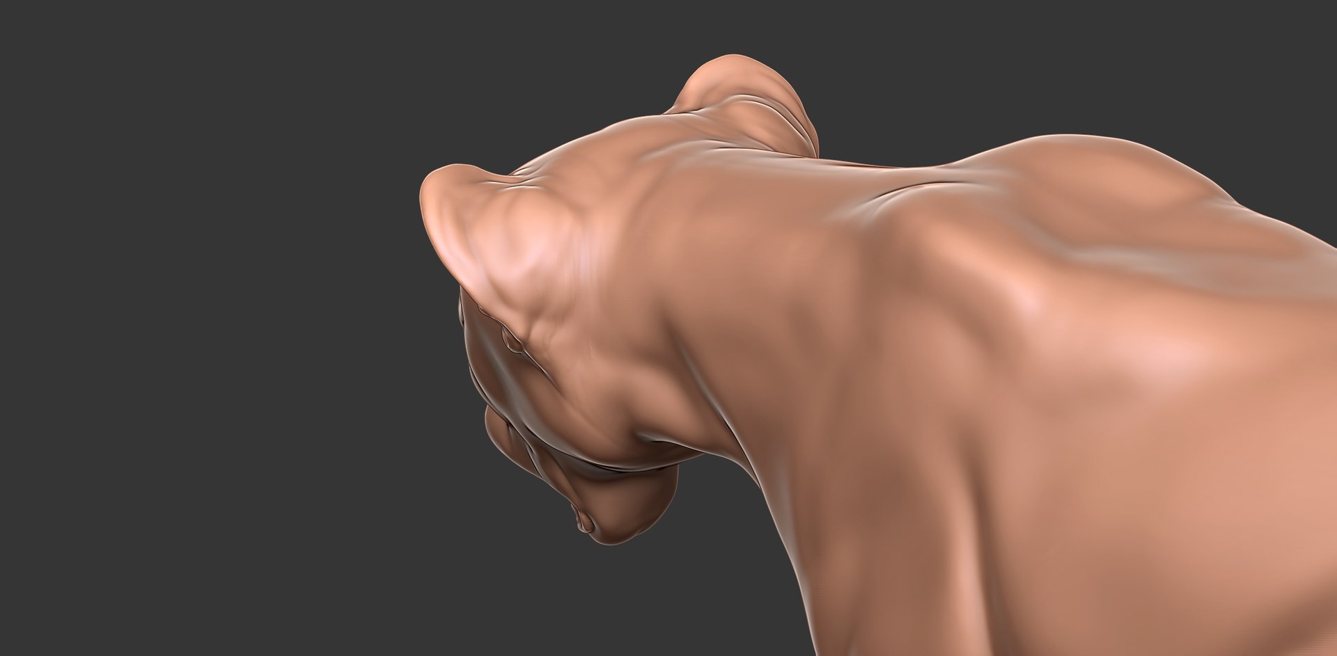 3D Cheetah Cub Primary Forms Zbrush Sculpt https://p.turbosquid.com/ts-thumb/sZ/J2YtWX/DR/cheetahcub21/jpg/1638160779/1920x1080/fit_q87/65d1daf1b5badadd871fee4a006a5467b5115b2d/cheetahcub21.jpg