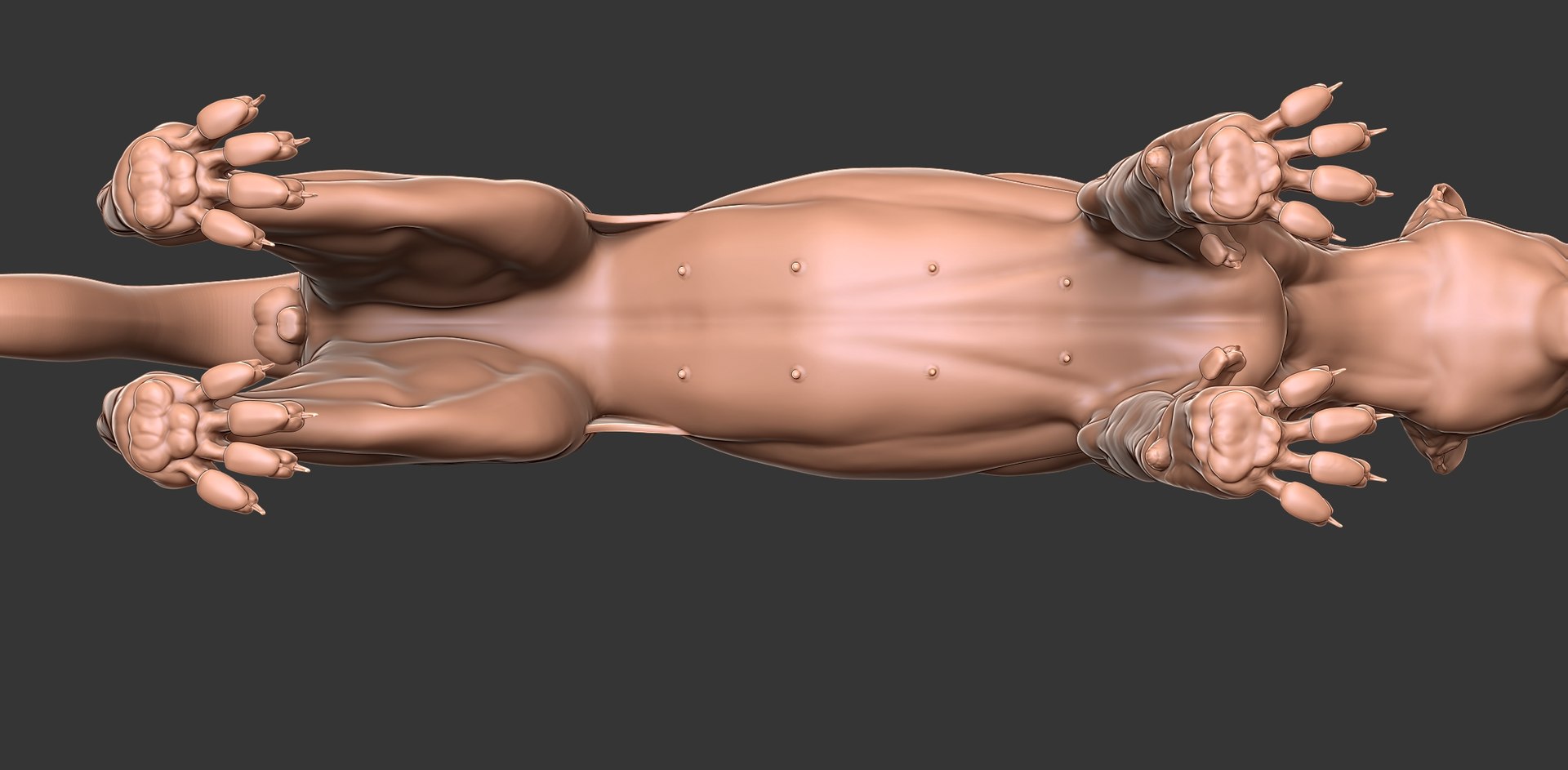 3D Cheetah Cub Primary Forms Zbrush Sculpt https://p.turbosquid.com/ts-thumb/sZ/J2YtWX/DZ/cheetahcub26/jpg/1638160781/1920x1080/fit_q87/33aca035a20e05e3ca832ed4a38f35f1896c3737/cheetahcub26.jpg