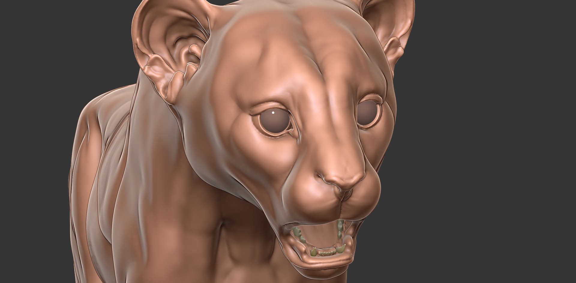 3D Cheetah Cub Primary Forms Zbrush Sculpt https://p.turbosquid.com/ts-thumb/sZ/J2YtWX/GC/cheetahcub18/jpg/1638160785/1920x1080/fit_q87/4ba70d29b50b0924e8ae795902846fd3bed78036/cheetahcub18.jpg