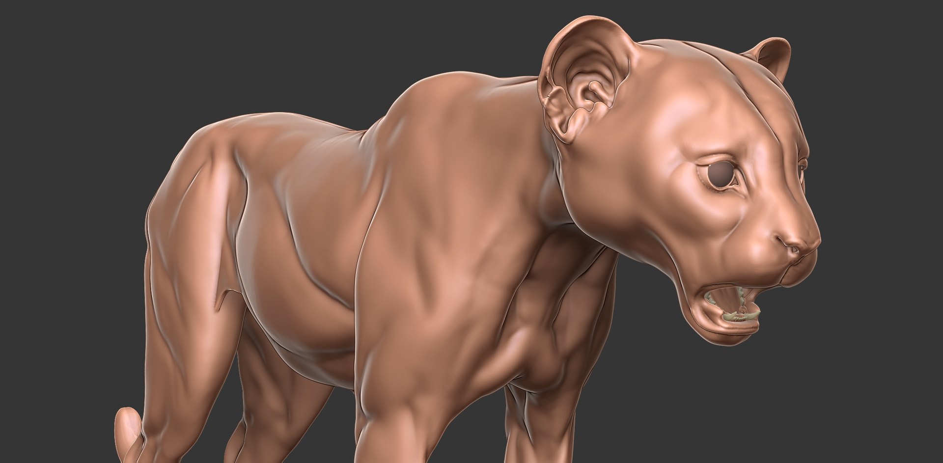 3D Cheetah Cub Primary Forms Zbrush Sculpt https://p.turbosquid.com/ts-thumb/sZ/J2YtWX/Ks/cheetahcub10/jpg/1638160784/1920x1080/fit_q87/bec54672f23f2b61c13e48592ef40ed8ebd18c20/cheetahcub10.jpg