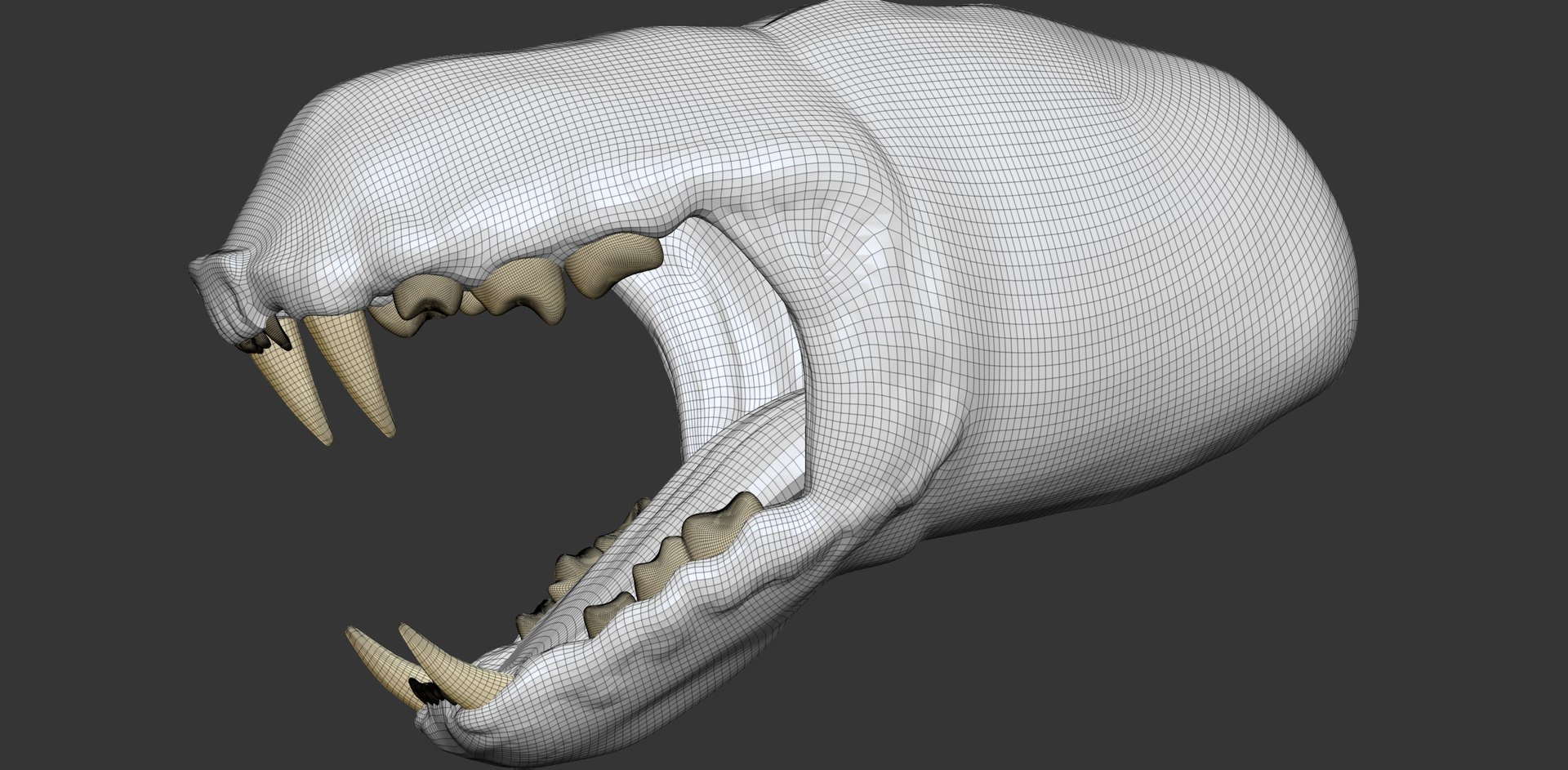 3D Cheetah Cub Primary Forms Zbrush Sculpt https://p.turbosquid.com/ts-thumb/sZ/J2YtWX/LF/cheetahcub_wire13/jpg/1638161881/1920x1080/fit_q87/95ba5619d508c1e09f6b3afc3fb10990758c4dff/cheetahcub_wire13.jpg