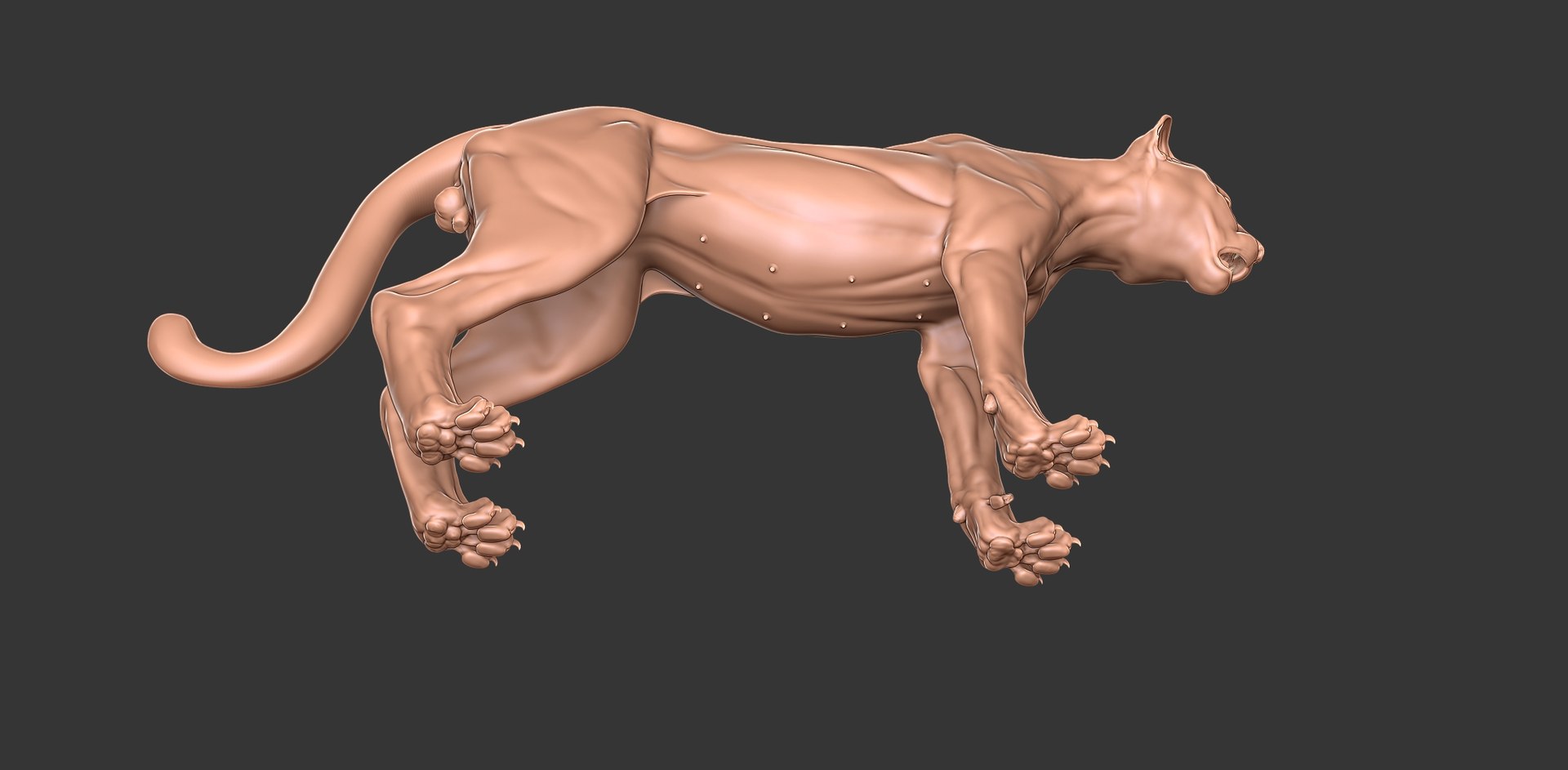 3D Cheetah Cub Primary Forms Zbrush Sculpt https://p.turbosquid.com/ts-thumb/sZ/J2YtWX/O3/cheetahcub12/jpg/1638160774/1920x1080/fit_q87/a875f13ac27984cb9b036c5e6172214fc81fee0c/cheetahcub12.jpg