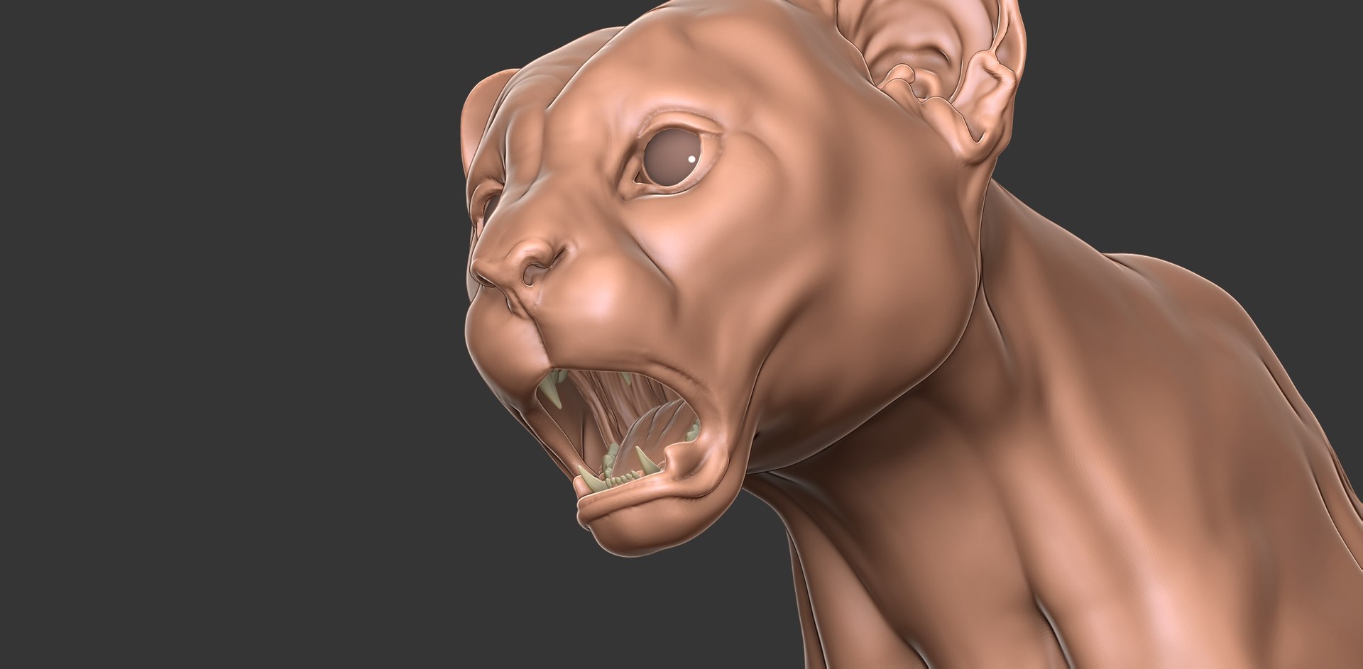 3D Cheetah Cub Primary Forms Zbrush Sculpt https://p.turbosquid.com/ts-thumb/sZ/J2YtWX/Pf/cheetahcub27/jpg/1638160789/1920x1080/fit_q87/54ebcb75cf3b880e019197b3156ded809f121dee/cheetahcub27.jpg