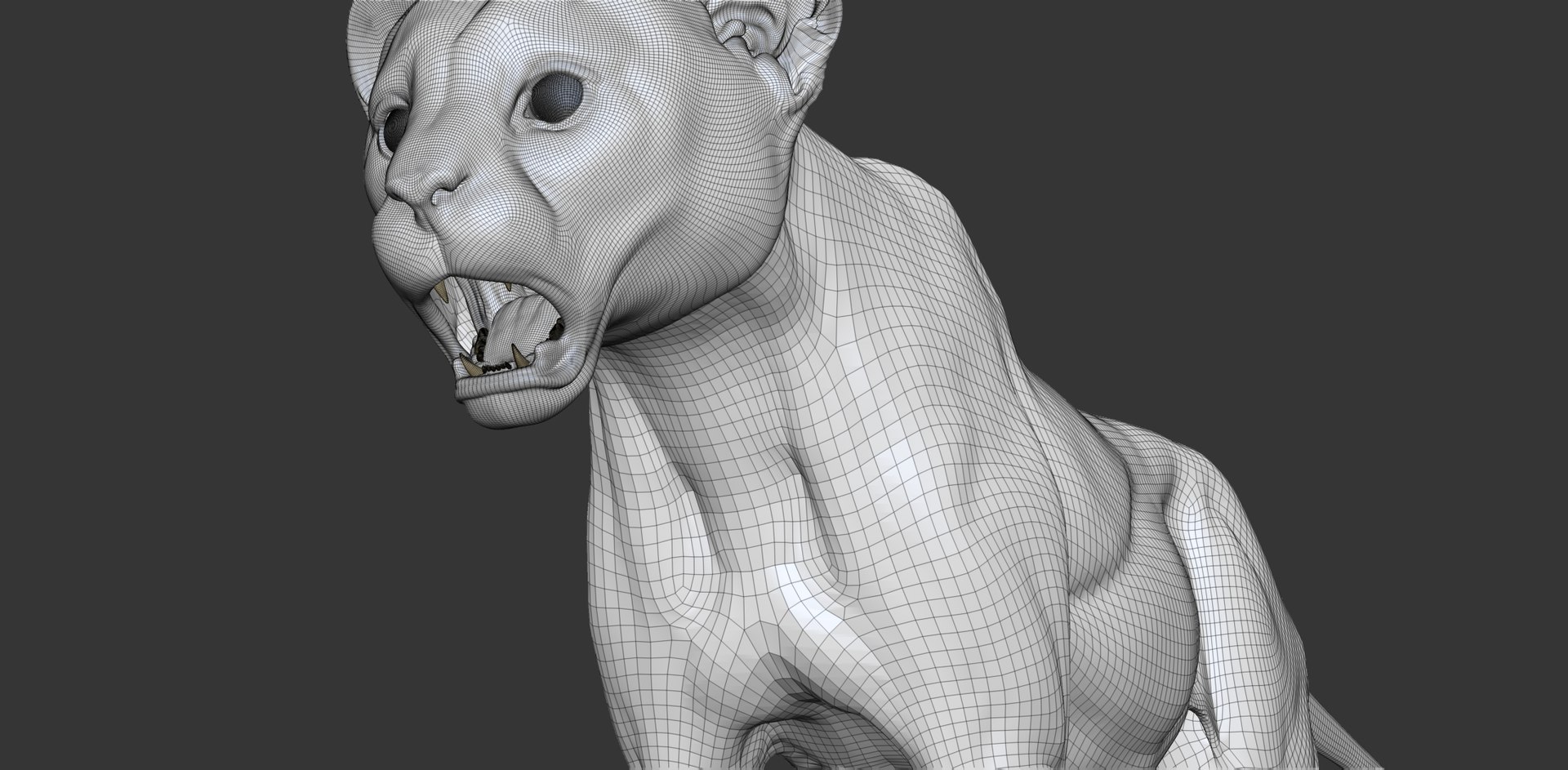 3D Cheetah Cub Primary Forms Zbrush Sculpt https://p.turbosquid.com/ts-thumb/sZ/J2YtWX/QK/cheetahcub_wire11/jpg/1638161876/1920x1080/fit_q87/73c0316067ce56fae6603e1d13bd0d908ccf9960/cheetahcub_wire11.jpg