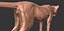 Cucciolo di ghepardo forme primarie Zbrush Sculpt
