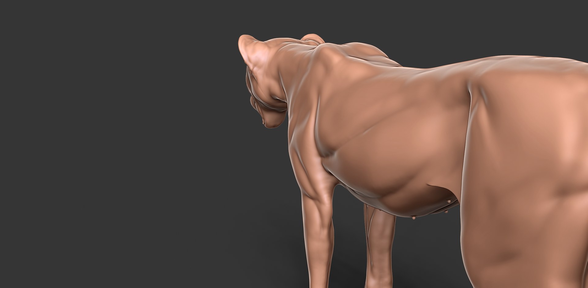 3D Cheetah Cub Primary Forms Zbrush Sculpt https://p.turbosquid.com/ts-thumb/sZ/J2YtWX/bV/cheetahcub22/jpg/1638160778/1920x1080/fit_q87/01ebd2e3f3da18d85cc9252398f011a87c70674f/cheetahcub22.jpg