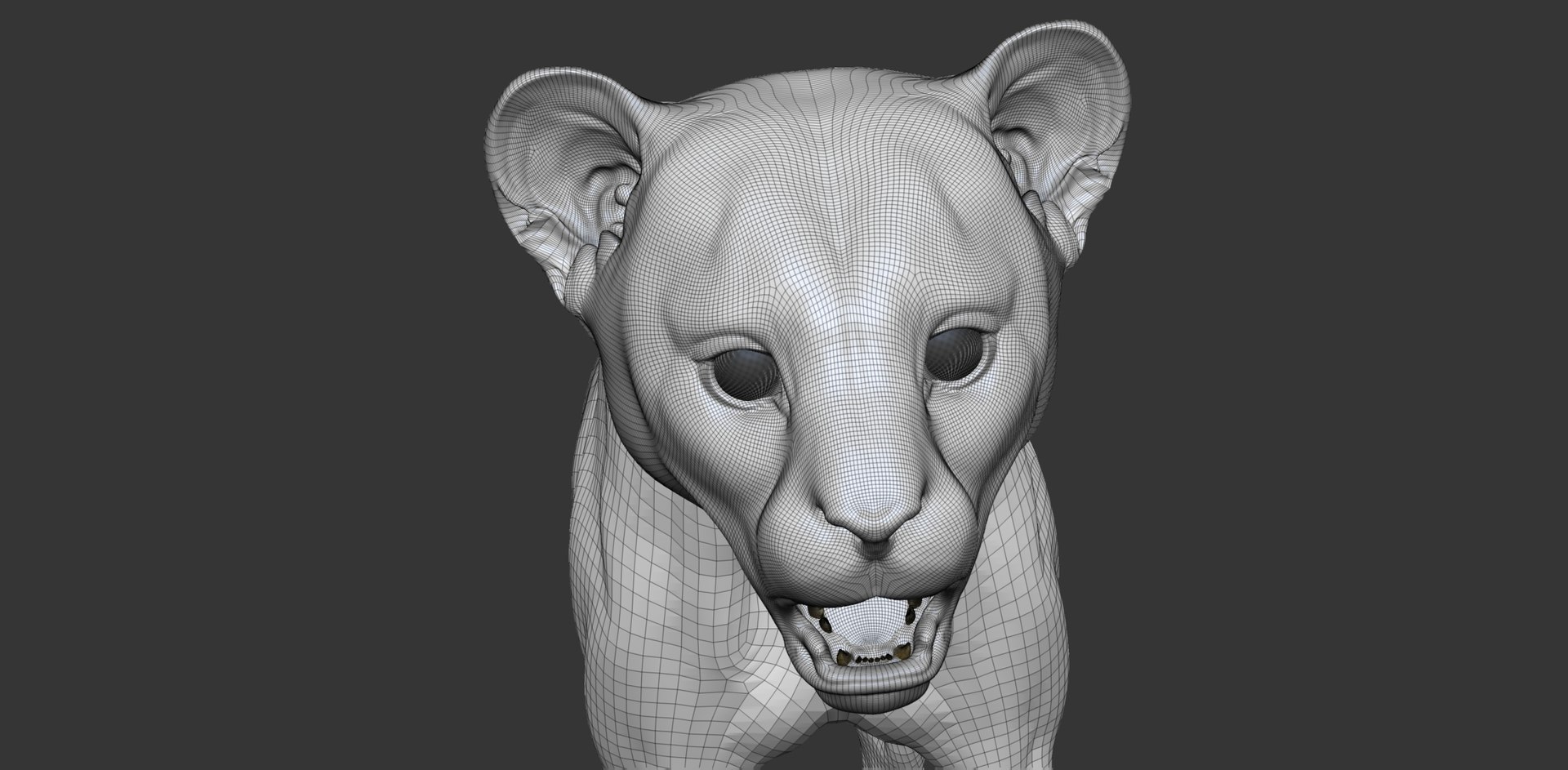 3D Cheetah Cub Primary Forms Zbrush Sculpt https://p.turbosquid.com/ts-thumb/sZ/J2YtWX/em/cheetahcub_wire10/jpg/1638161884/1920x1080/fit_q87/e62b57071d3e6849aca6afb93f4d0198d8795baa/cheetahcub_wire10.jpg