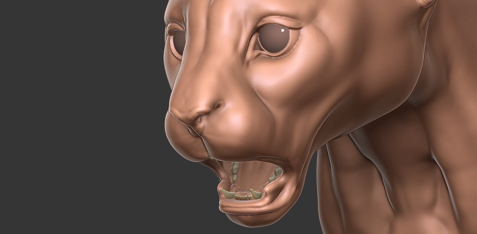 3D Cheetah Cub Primary Forms Zbrush Sculpt https://p.turbosquid.com/ts-thumb/sZ/J2YtWX/f8/cheetahcub20/jpg/1638160786/1920x1080/fit_q87/cabe8cb07a1f472f8b3af63a89cfe0393c711793/cheetahcub20.jpg