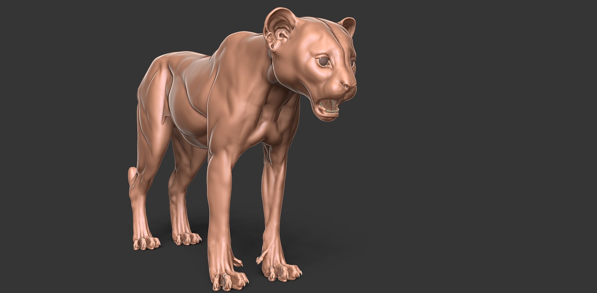 3D Cheetah Cub Primary Forms Zbrush Sculpt https://p.turbosquid.com/ts-thumb/sZ/J2YtWX/ri/cheetahcub3/jpg/1638160772/1920x1080/fit_q87/c86acf5e54aaf0cb204b6e81f13cbd02a9820c31/cheetahcub3.jpg