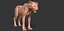 Cucciolo di ghepardo forme primarie Zbrush Sculpt