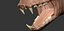 Cucciolo di ghepardo forme primarie Zbrush Sculpt