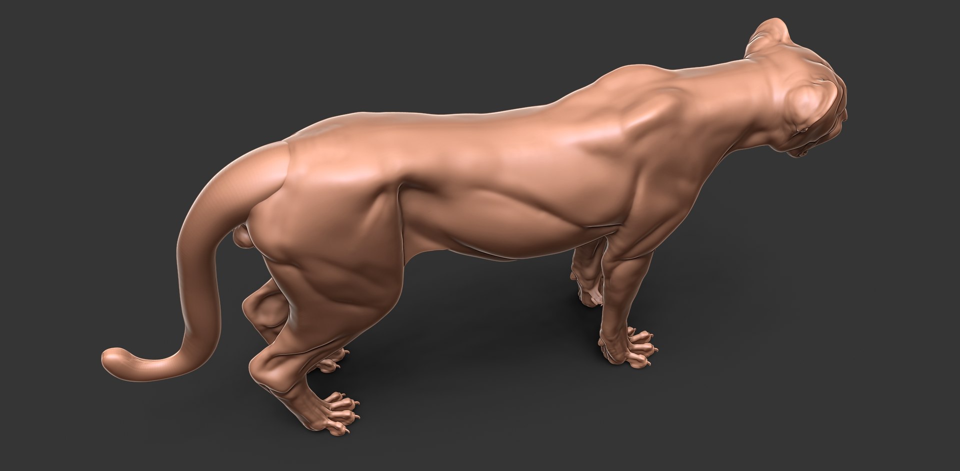 3D Cheetah Cub Primary Forms Zbrush Sculpt https://p.turbosquid.com/ts-thumb/sZ/J2YtWX/ux/cheetahcub8/jpg/1638160778/1920x1080/fit_q87/e88d38c6bc407d26edc58dd96598e795352fcc53/cheetahcub8.jpg