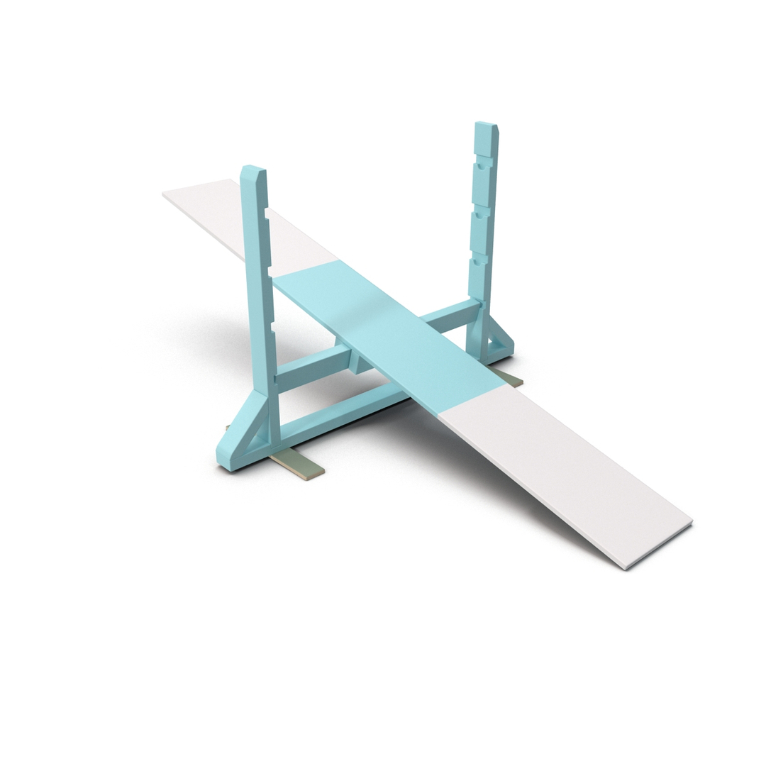 dog agility teeter totter 3d model