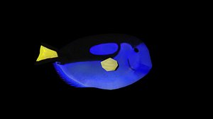 3D exotic fish model