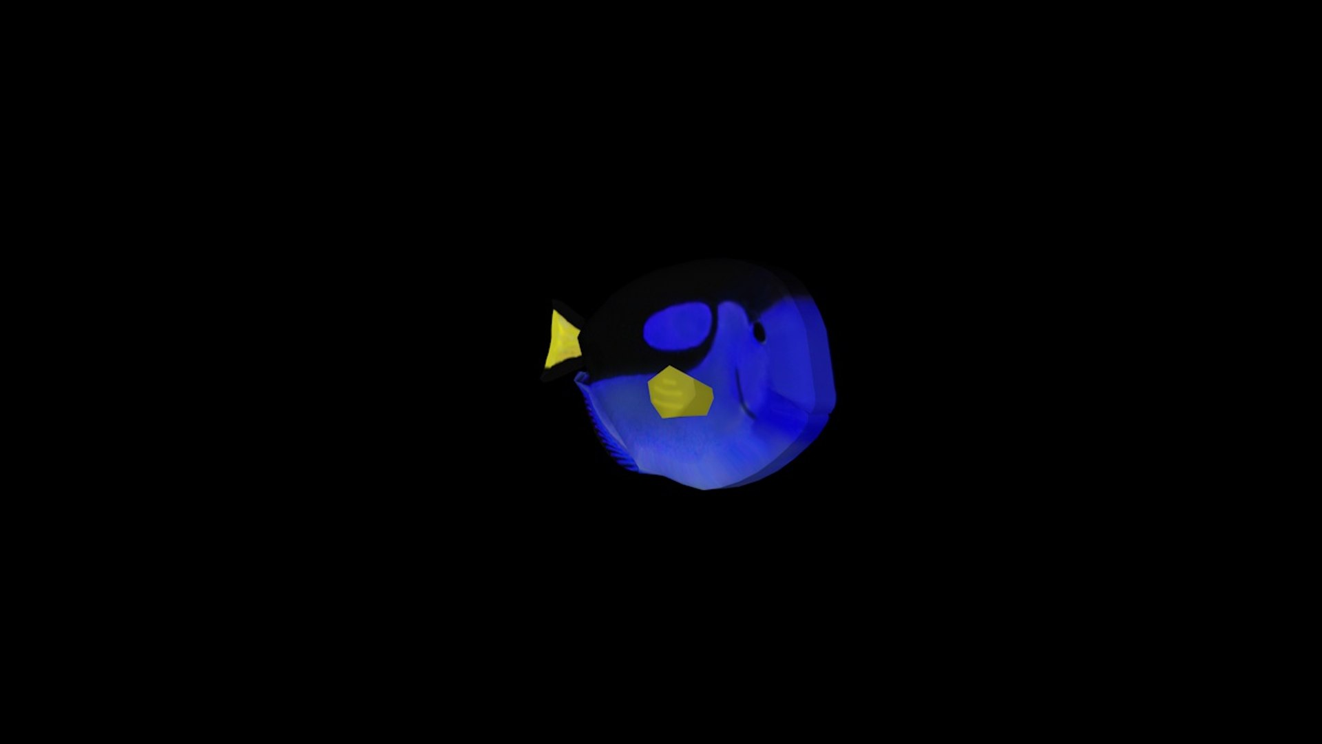 3D exotic fish model https://p.turbosquid.com/ts-thumb/sZ/iWVbwW/QbpLvCHv/exoticfish2_0001/jpg/1588019477/1920x1080/fit_q87/8a71e22f7f61d9e50e664c0572ab82527e83ba4d/exoticfish2_0001.jpg