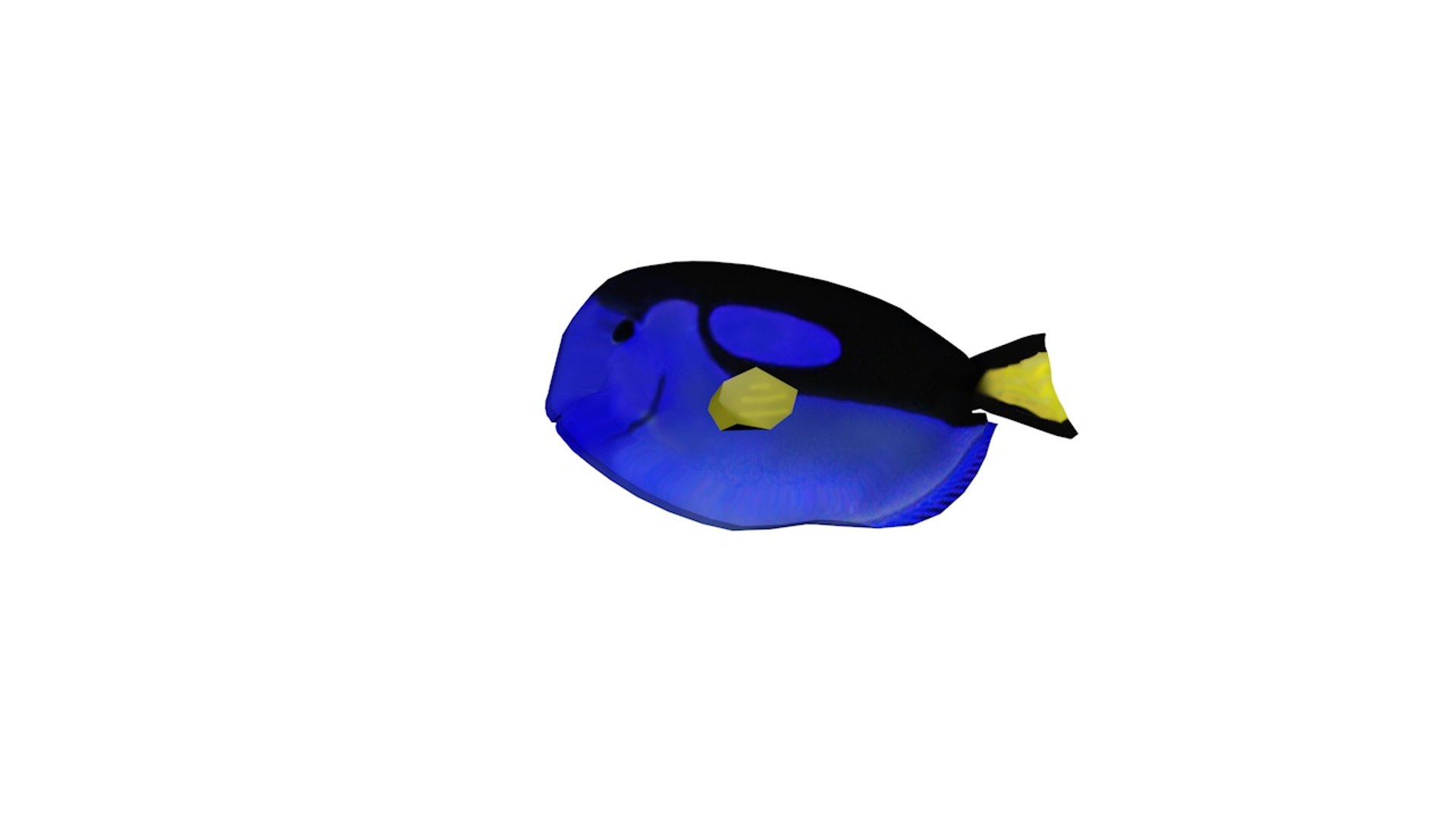 3D exotic fish model https://p.turbosquid.com/ts-thumb/sZ/iWVbwW/T7j3KoVn/exoticfish2_0003/jpg/1588019478/1920x1080/fit_q87/0f89b053245da73f8428ad227288a1a25cff6f2e/exoticfish2_0003.jpg
