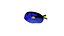 Exotic Fish