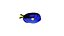 Exotic Fish