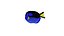 Exotic Fish