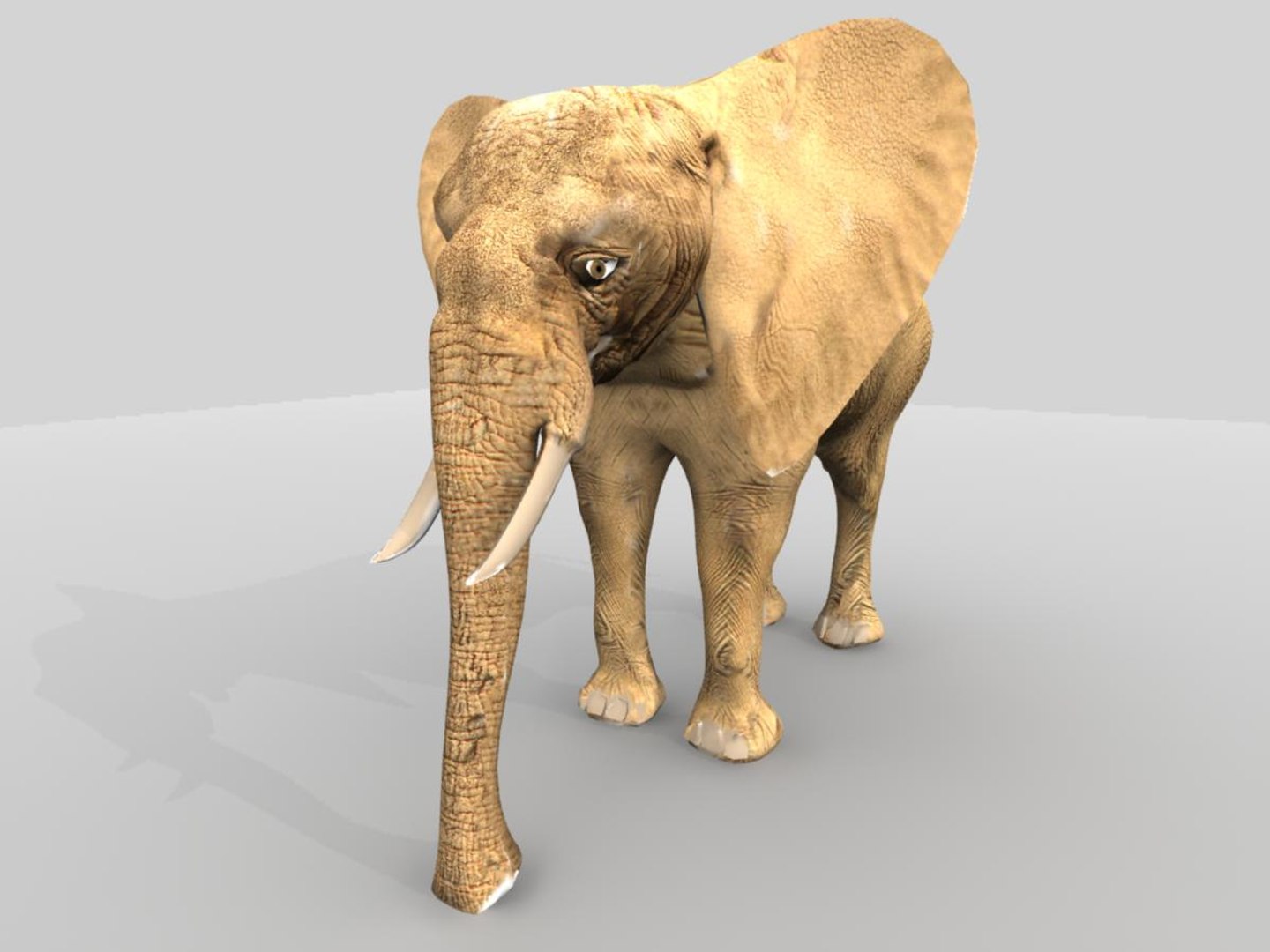 african elephant 3d x https://p.turbosquid.com/ts-thumb/sZ/ijVN9r/38BiI2m3/ae4/jpg/1471365370/1920x1080/fit_q87/f406e5214f7beed65c700d910a6d76590ef59855/ae4.jpg