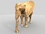 elefante africano